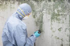 Best Mold Documentation for Insurance Claims  in USA